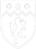 Birmingham Newman University logo